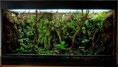 /album/rafovo-terarium1/a300111-jpg2/
